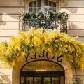Photo of Solly Hôtel Paris