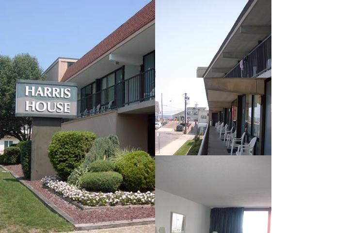 Harris House Motel photo collage
