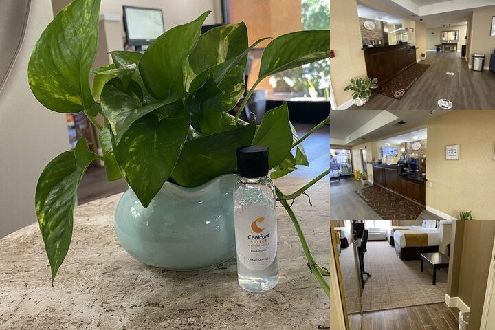 Comfort Suites Tulare Sequoia Gateway photo collage