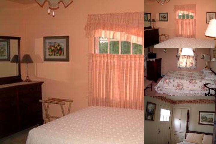 Pheasant Country Inn photo collage