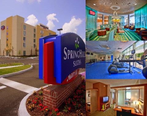 Springhill Suites by Marriott Tampa North photo collage
