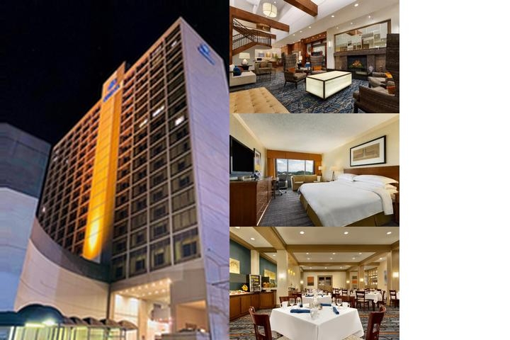 Hilton Knoxville photo collage