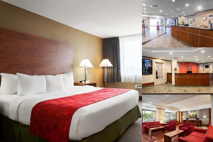 Ramada Plaza by Wyndham Montreal photo collage