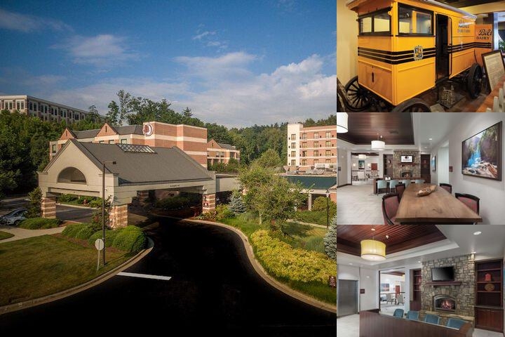 Doubletree Biltmore photo collage
