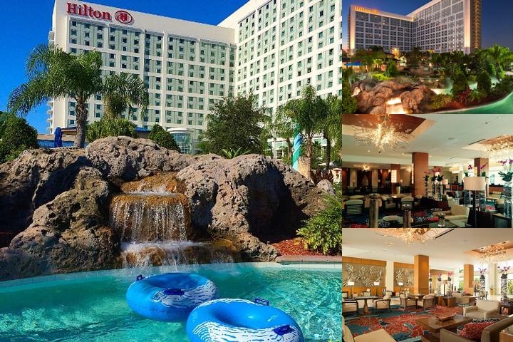 Hilton Orlando photo collage
