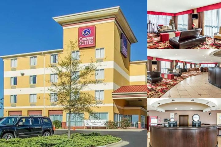 Comfort Suites Florence Shoals Area photo collage
