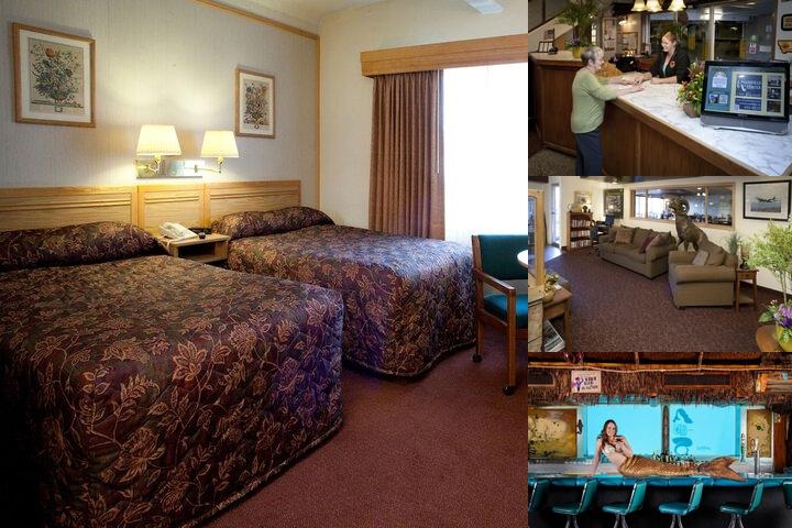 O'haire Inn photo collage