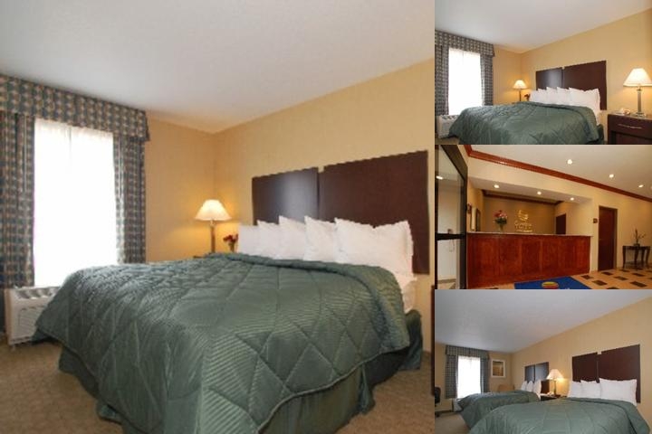 Comfort Inn & Suites Muncie Near University photo collage