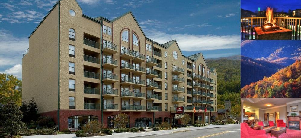 Black Bear Inn & Suites photo collage