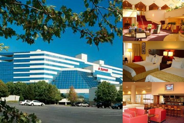 Jake's 58 Casino Hotel - Adult Only photo collage