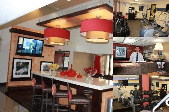 Hampton Inn by Hilton Chester South photo collage