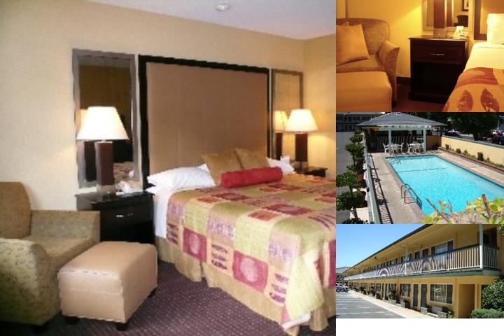 Best Western Town House Lodge photo collage