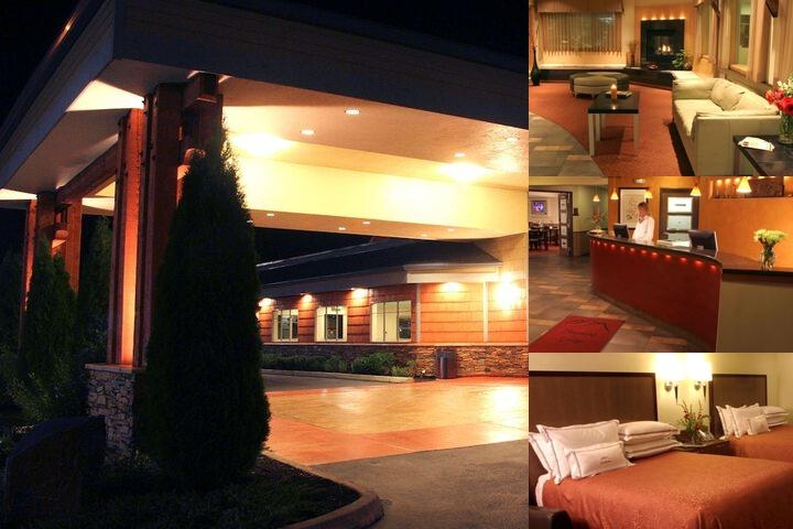 Best Western Snowcap Lodge photo collage