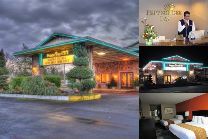 Peppertree Inn photo collage
