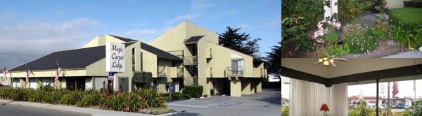 Sand Dollar Inn photo collage