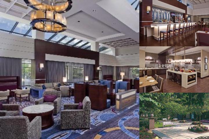 Hilton Fairfax photo collage