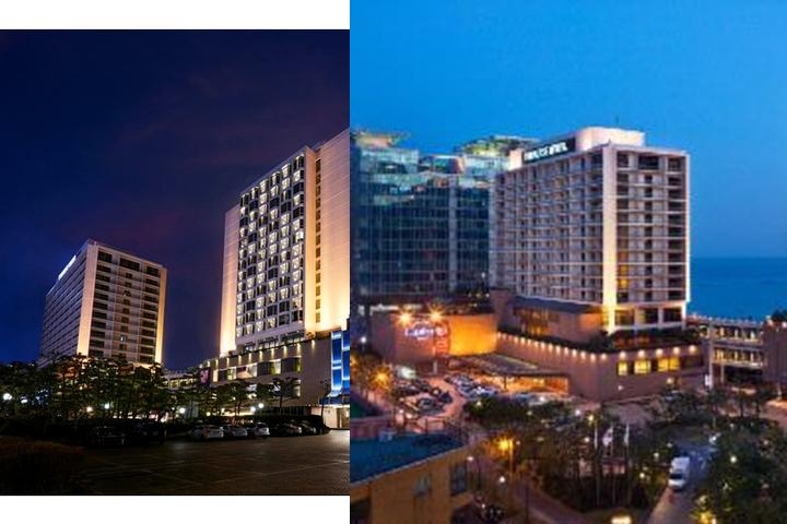 Paradise Hotel Pusan photo collage