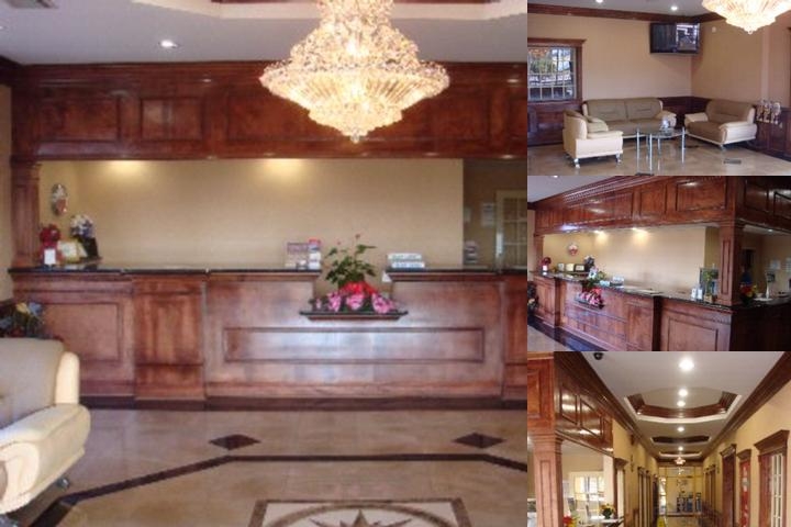 Hotel elev8 photo collage