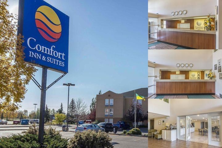 Comfort Inn & Suites photo collage