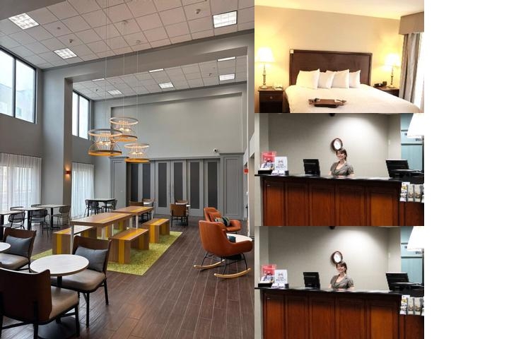 Spark by Hilton Amarillo West photo collage