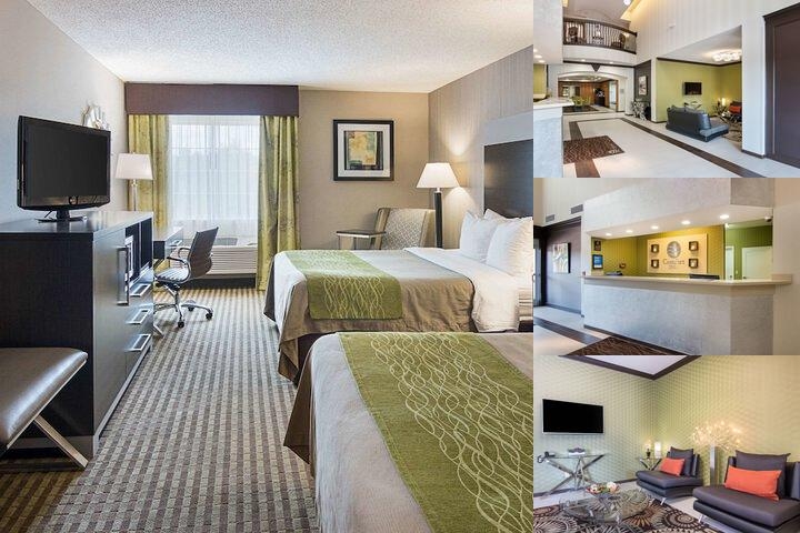 Comfort Inn Camden photo collage