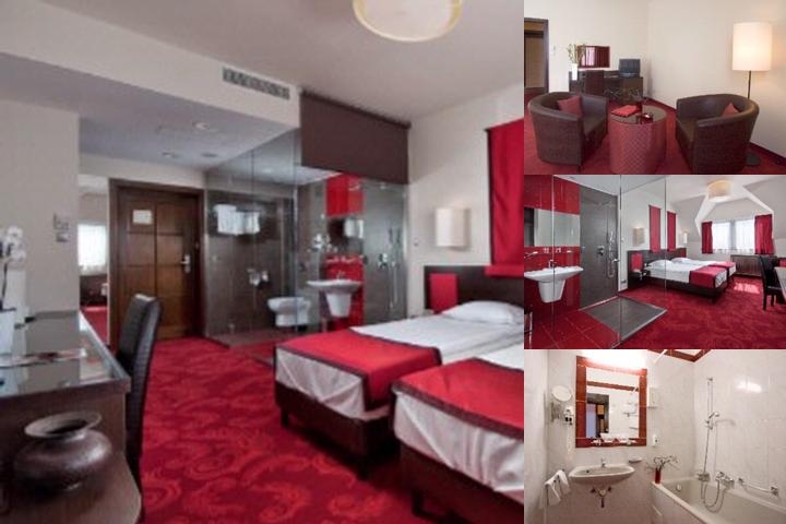 Rubin Wellness & Conference Hotel photo collage