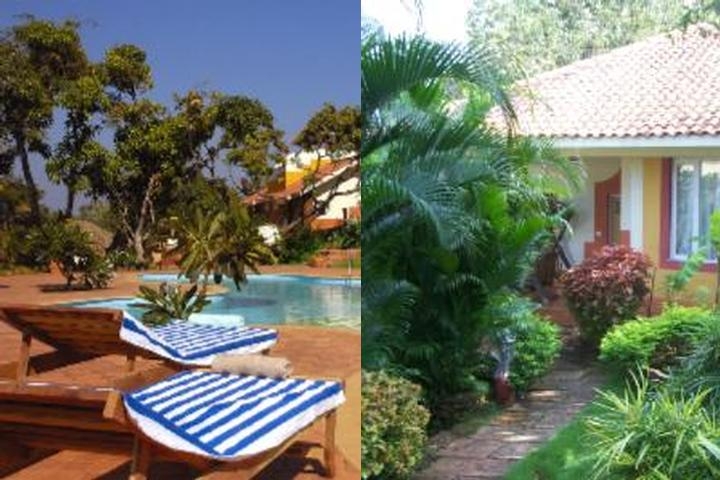 Nirvana Hermitage photo collage