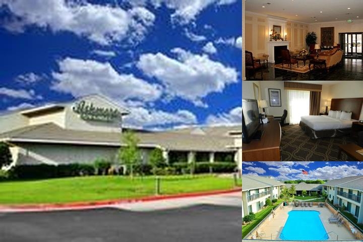 Ashmore Inn and Suites photo collage