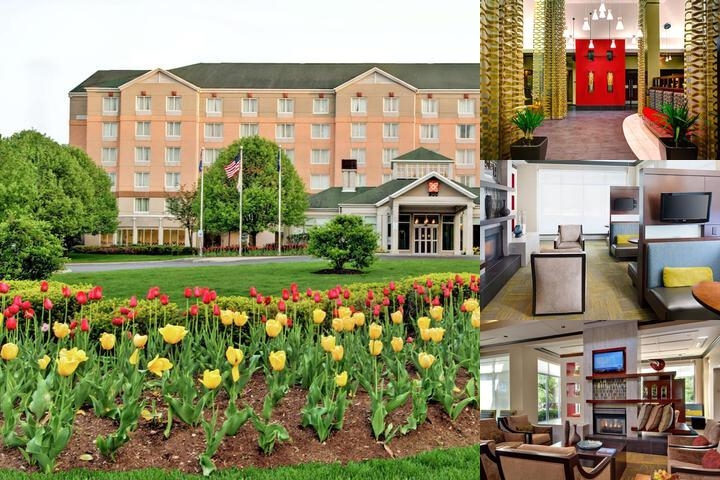 Hilton Garden Inn Albany Airport photo collage