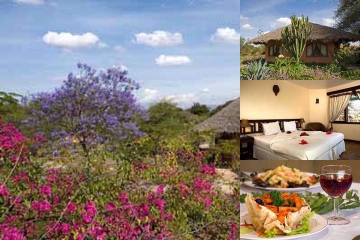 Kia Lodge photo collage