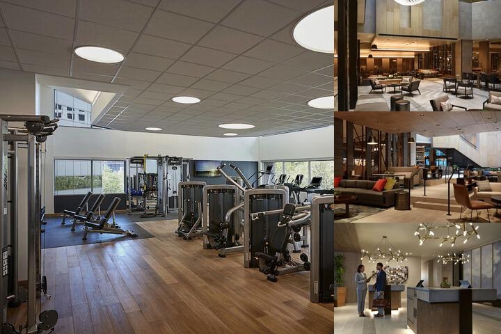 Charlotte Marriott City Center photo collage