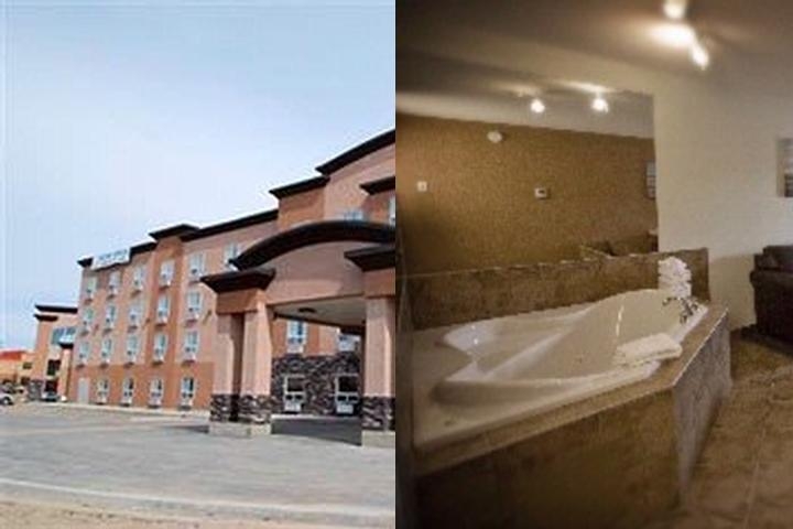 Service Plus Inns and Suites Calgary photo collage
