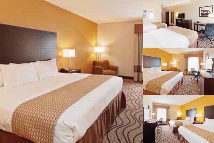 Spark by Hilton Terrell photo collage