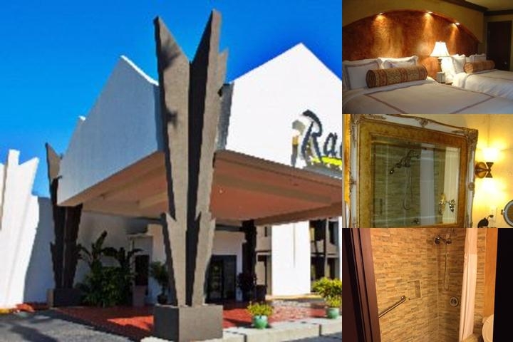 Radisson Baton Rouge photo collage