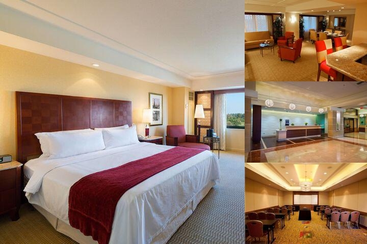 Long Beach Marriott photo collage