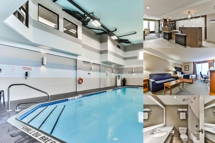 Best Western Plus Cambridge Hotel photo collage