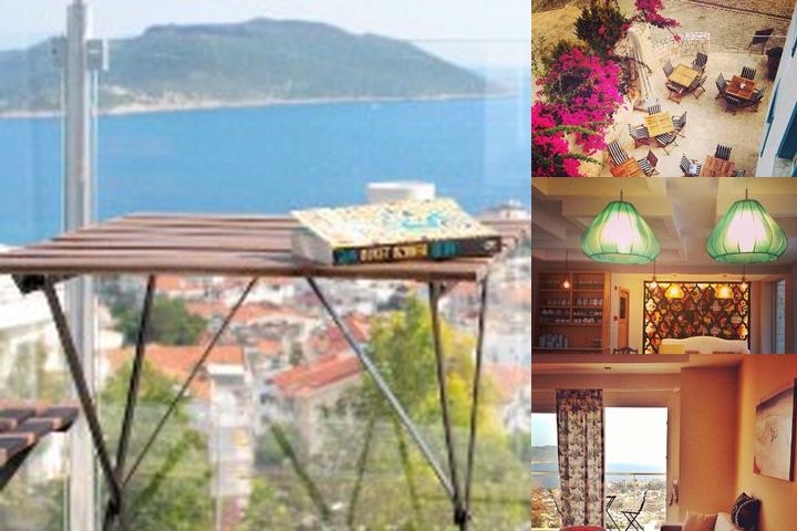 Picus Apartment photo collage