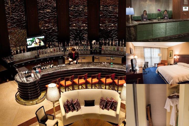Shanghai QILU Hotel photo collage