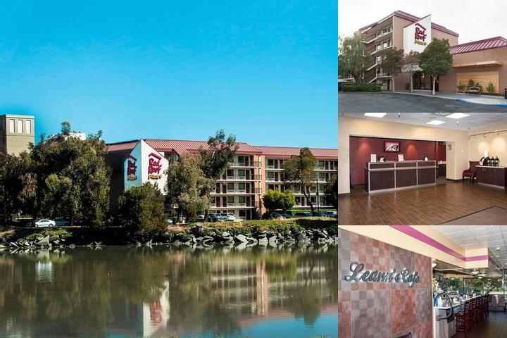 Red Roof Inn PLUS+ San Francisco Airport photo collage