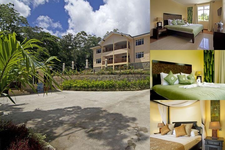 The Palm Seychelles photo collage
