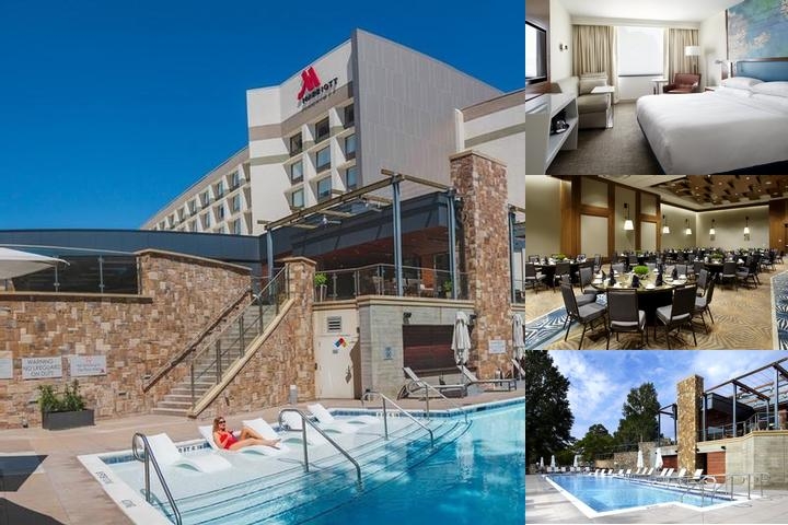 Raleigh Marriott Crabtree Valley photo collage