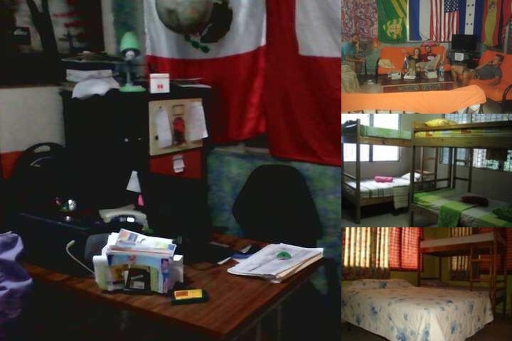 Tamarindo Hostel photo collage