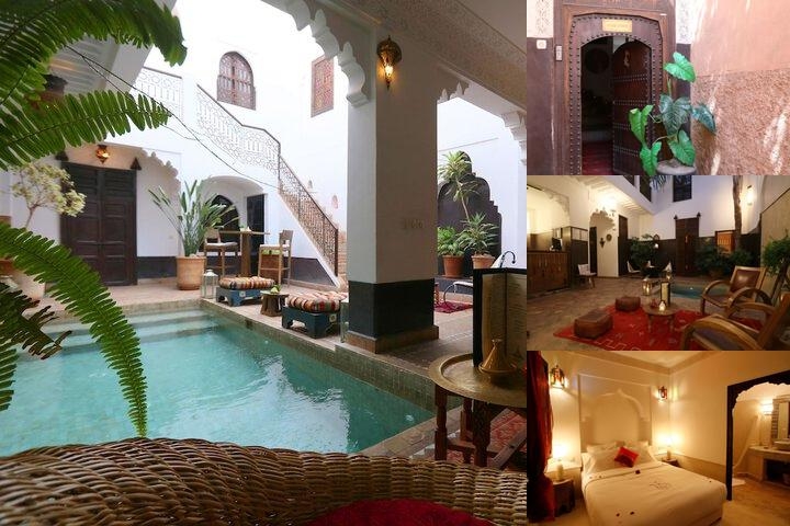 Riad Amina photo collage