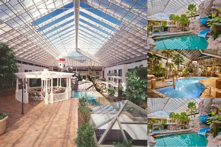 Best Western Plus Lamplighter Inn & Conference Centre photo collage