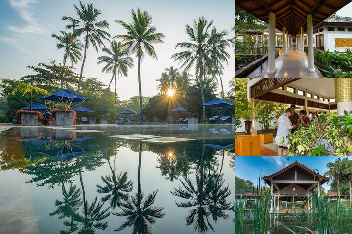 Clove Beach Wadduwa photo collage