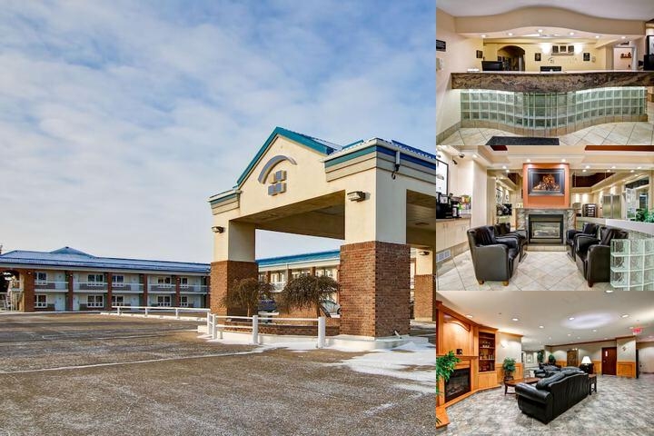 Canalta Stettler photo collage
