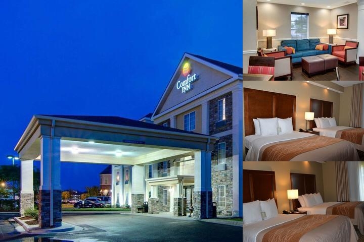 Comfort Inn West Monroe near Sports & Events Center photo collage