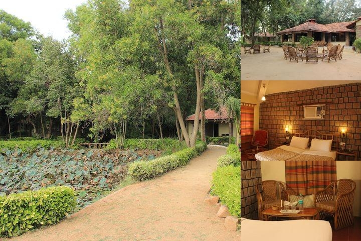 Tiger Trails Resorts photo collage
