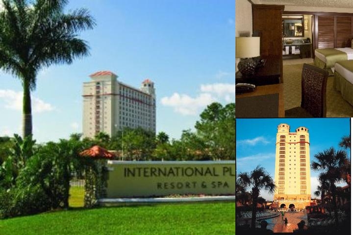 Doubletree by Hilton Orlando Theme Park Resort photo collage