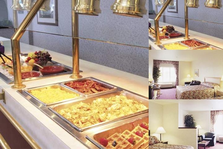 Quality Inn & Suites Denver Airport - Gateway Park photo collage